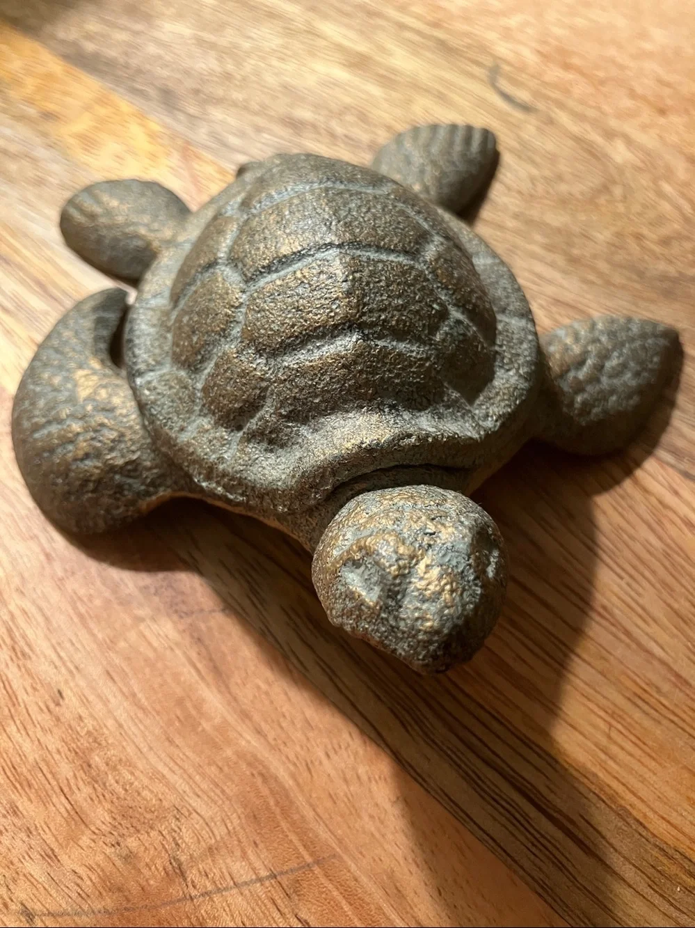 Sea turtle trinket holder